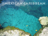 Ecotourism in Mexican Caribbean