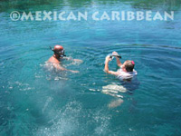 Ecotourism in Mexican Caribbean