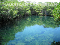 Ecotourism in Mexican Caribbean