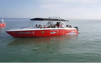 thinks to do in holbox