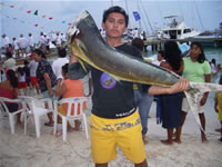 thinks to do in holbox