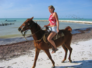 Thinks to do in Holbox
