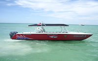 Transport in Holbox
