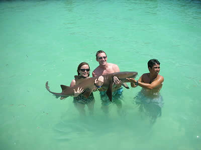 sleeping sharks in isla mujeres, isla mujeres