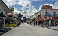 quinta avenida playa del carmen