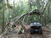 Atv jungle Tour Puerto Morelos