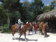 Horseback riding Tour Puerto Morelos