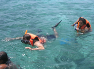 Snorkeling Tour Puerto Morelos