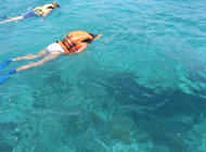 Snorkeling Tour Puerto Morelos
