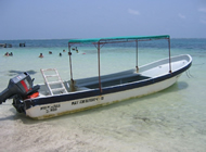 Snorkeling Tour Puerto Morelos
