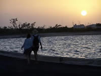 Cozumel, Mexican Caribbean