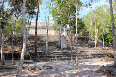 Calakmul Mayan Ruins