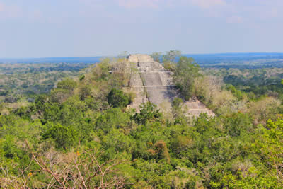 Calakmul Mayan Ruins