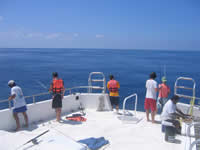 Cancun Fishing, Mexican Caribbean