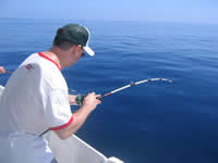 Cancun Fishing, Mexican Caribbean