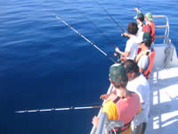 Cancun Fishing, Mexican Caribbean