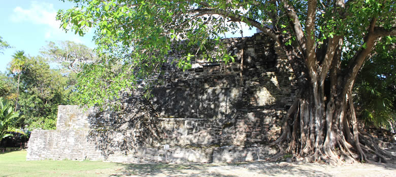 El Meco Archaeological Zone, Mexican Caribbean