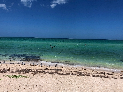 Coconuts House Yucatan , Houses in Rental Yucatan, Beach House Rental Yucatan