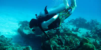 Cozumel
