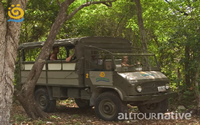 Jungle Crossing,  Mexican Caribbean