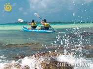 Jungle Crossing,  Mexican Caribbean