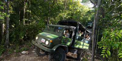 Jungle Crossing, All Tour Native