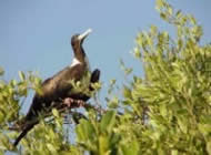 Sian Kaan Tour,  Mexican Caribbean