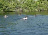 Sian Kaan Tour,  Mexican Caribbean
