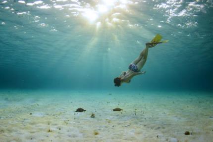 Isla Mujeres Fishing Tour
