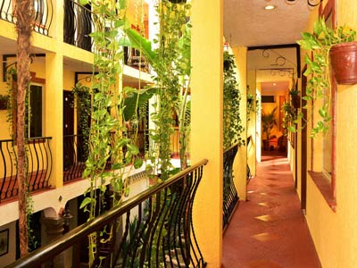 Acanto Boutique Hotel, Hoteles en Playa del Carmen