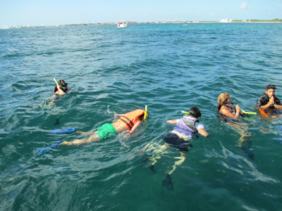 Contoy Island, Mexican Caribbean
