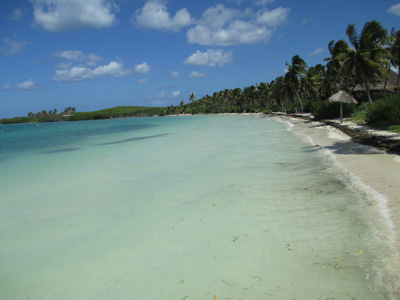 Contoy Island, Mexican Caribbean