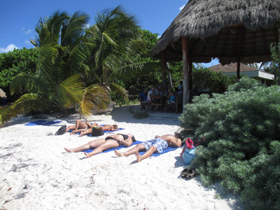 Contoy Island, Mexican Caribbean