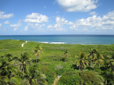 Contoy Island, Mexican Caribbean