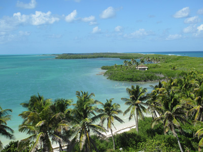 Contoy Island, Mexican Caribbean