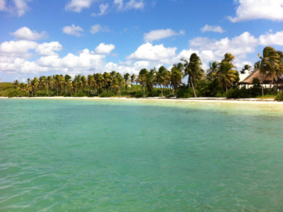 Contoy Island, Mexican Caribbean