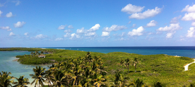 Contoy Island Tour, Mexican Caribbean