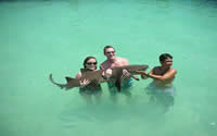 Sleeping Sharks in Isla Mujeres, Mexican Caribbean