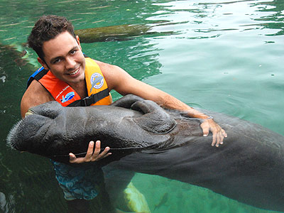 Tour Dolphin Royal Swim Isla Mujeres Cancun Mexico