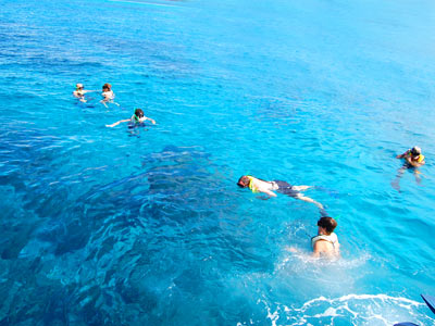 Tour Esnórquel en Cozumel y Playa Mía Cancun Mexico