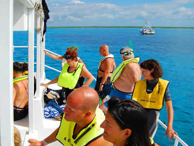Tour Esnórquel en Cozumel y Playa Mía Cancun Mexico