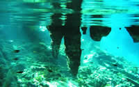 Snorkeling and Diving in Tulum, Mexican Caribbean
