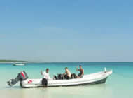 Snorkeling and Diving in Tulum, Mexican Caribbean