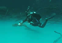 Snorkeling and Diving in Tulum, Mexican Caribbean