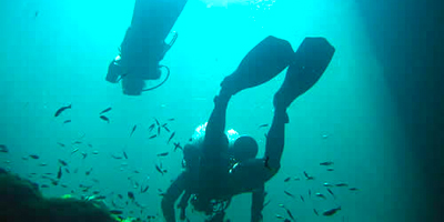 Reef Cave Diving, Activities in Tulum