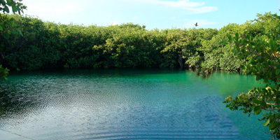 Casa Cenote, Alrededores de Tulum