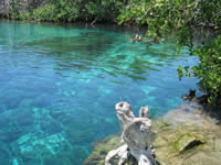 Casa Cenote en Tulum, Caribe Mexicano