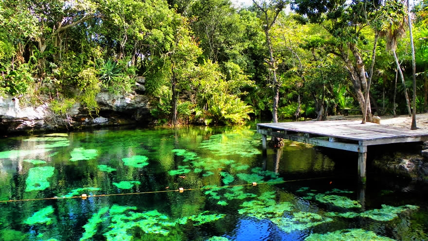 Cenote Cristalino, Cenotes Tuum