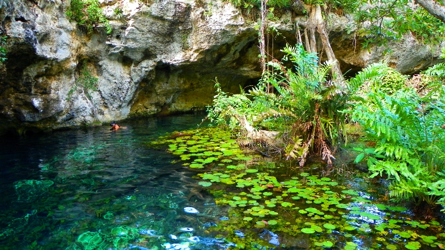 Grand Cenote, Mexican Caribbean