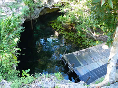 Grand Cenote, Mexican Caribbean